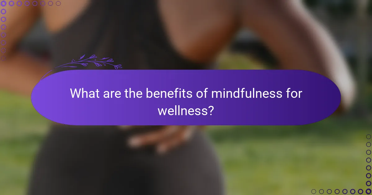 What are the benefits of mindfulness for wellness?